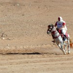 Berber, Tataouine