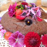 Maddocks Farm Organics, Devon