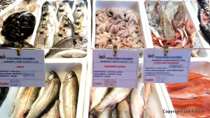 Market, Cremona