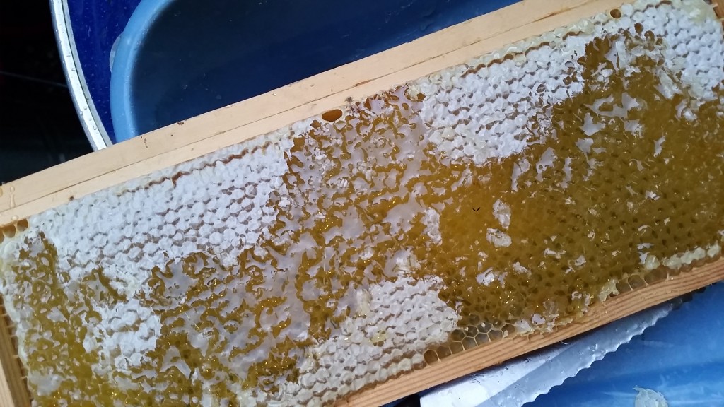 Honey on the comb