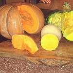 Pumpkins