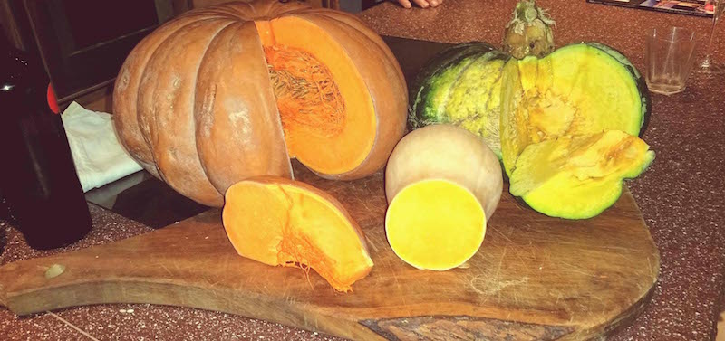 Pumpkins... copy