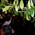 Maiko, Kyoto, Japan