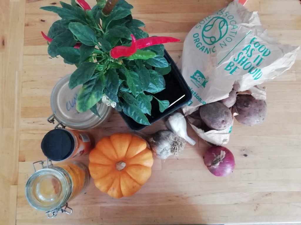 Pumpkin Soup