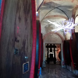 DOP Chianti Felsina, Tuscany