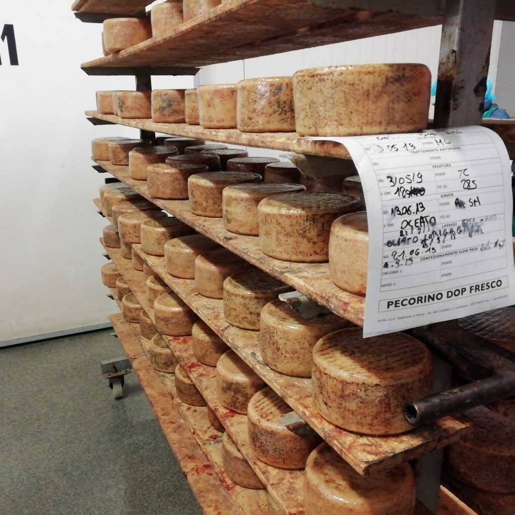 Tuscan DOP Pecorino Chianti