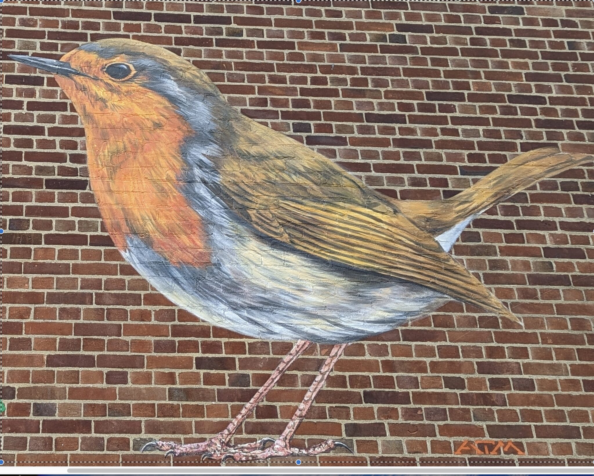 Robin Redbreast