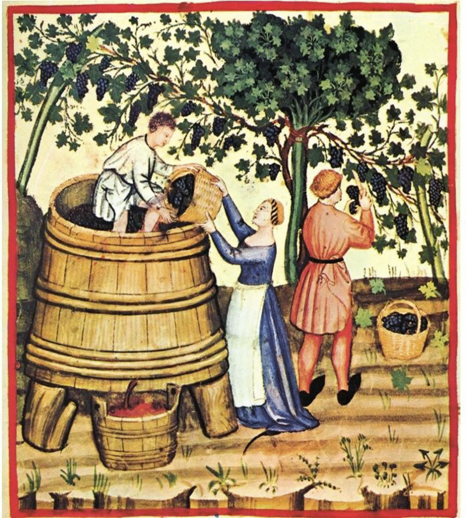 Wine Women Sicily Etna