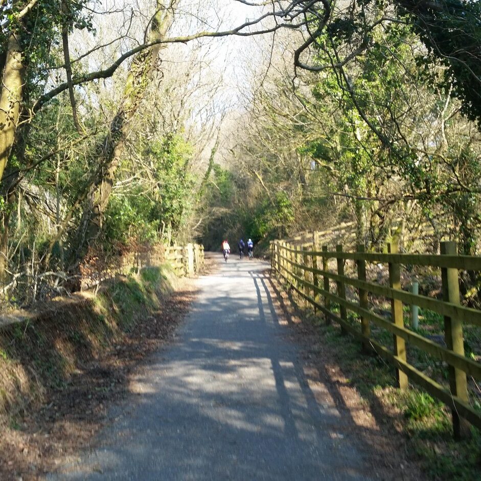 Devonshire delights, cycling
